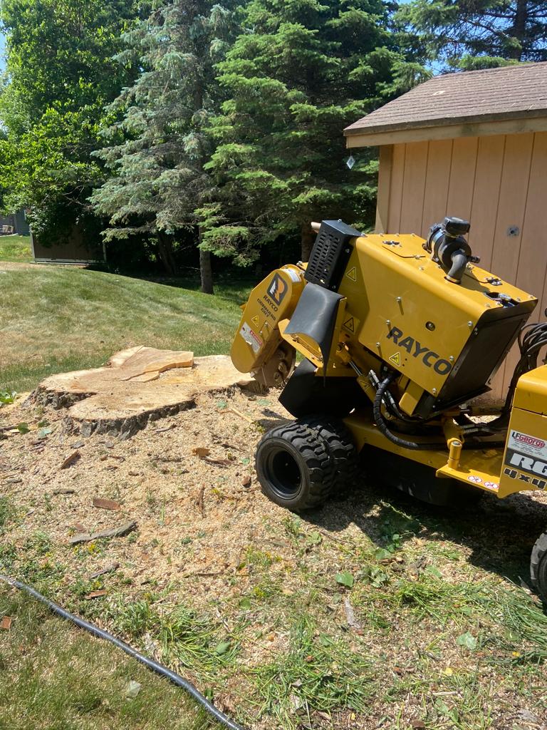 Stump Grinding Oakland County | Alex Elite Tree Care